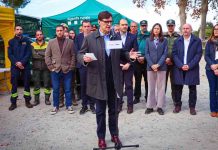 El Govern ordena auditar los centros que trabajan con la peste porcina El Govern ordena auditar los centros que trabajan con la peste porcina