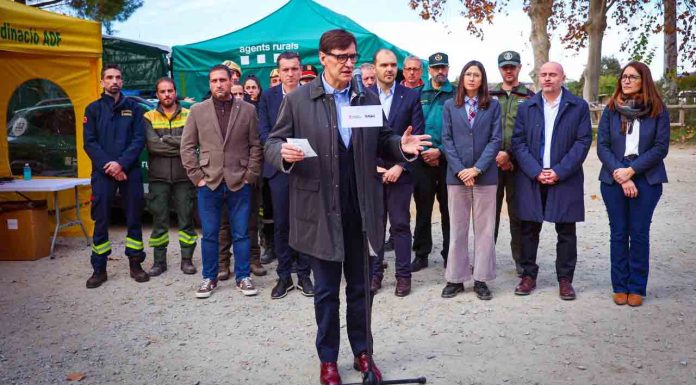 El Govern ordena auditar los centros que trabajan con la peste porcina El Govern ordena auditar los centros que trabajan con la peste porcina