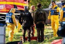Incremento de hasta 50 jabalíes hallados muertos en la zona de Collserola Incremento de hasta 50 jabalíes hallados muertos en la zona de Collserola