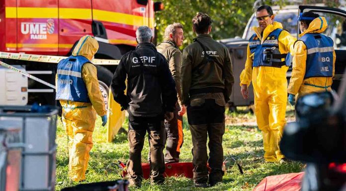Incremento de hasta 50 jabalíes hallados muertos en la zona de Collserola Incremento de hasta 50 jabalíes hallados muertos en la zona de Collserola