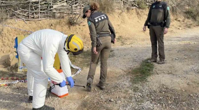 Nuevos positivos de peste porcina africana elevan el total a 16 casos Nuevos positivos de peste porcina africana elevan el total a 16 casos