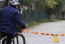 Se intensifica la vigilancia tras el brote de peste porcina africana en Collserola Se intensifica la vigilancia tras el brote de peste porcina africana en Collserola