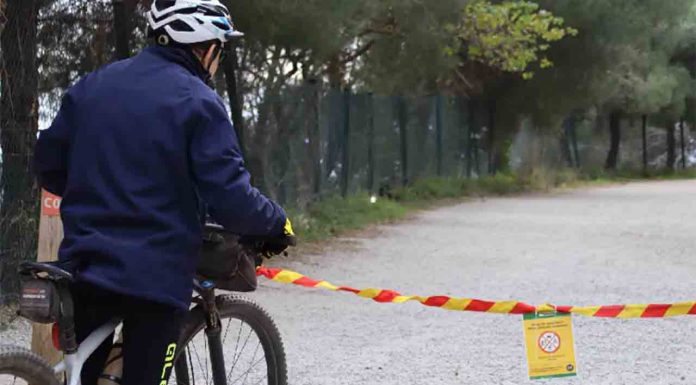 Se intensifica la vigilancia tras el brote de peste porcina africana en Collserola Se intensifica la vigilancia tras el brote de peste porcina africana en Collserola