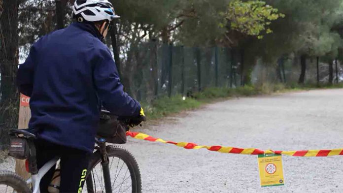 Se intensifica la vigilancia tras el brote de peste porcina africana en Collserola Se intensifica la vigilancia tras el brote de peste porcina africana en Collserola