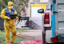 Suben a nueve los casos de peste porcina, todos localizados en Cerdanyola Suben a nueve los casos de peste porcina, todos localizados en Cerdanyola