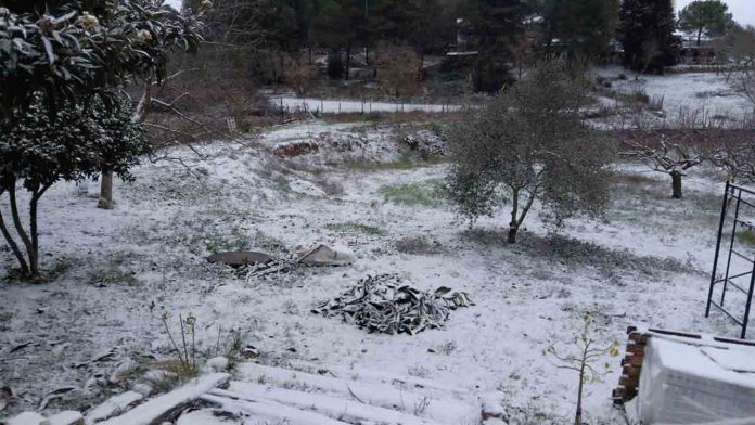 Alerta por nieve en cotas bajas: frío intenso y posibilidades de copos en Barcelona