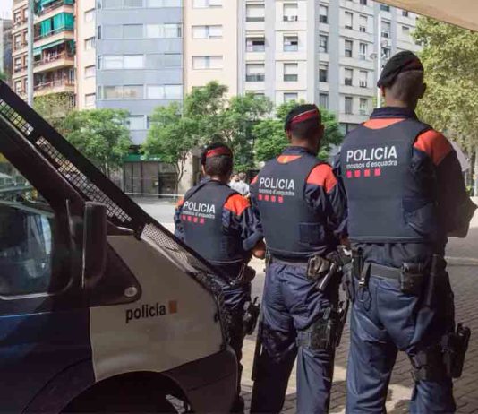 Detenidos en la Zona Franca cuatro sospechosos de un robo violento Detenidos en la Zona Franca cuatro sospechosos de un robo violento