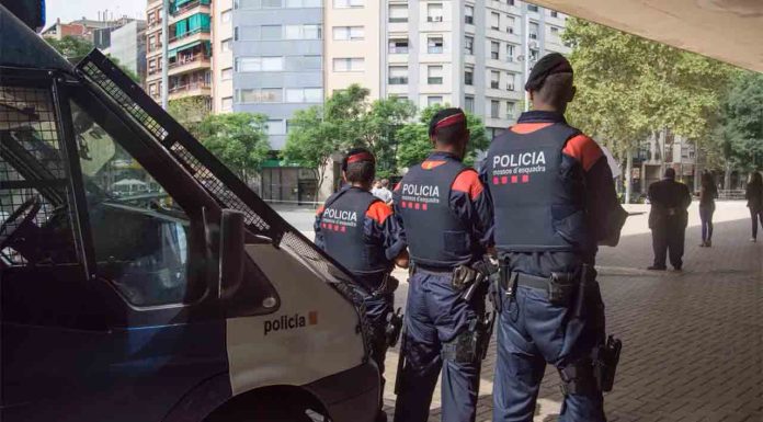 Detenidos en la Zona Franca cuatro sospechosos de un robo violento Detenidos en la Zona Franca cuatro sospechosos de un robo violento