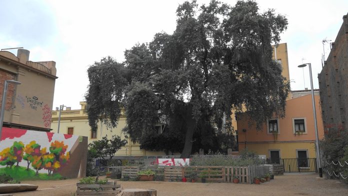 Jornada de reivindicación ambiental en el Jardí de l’Alzina