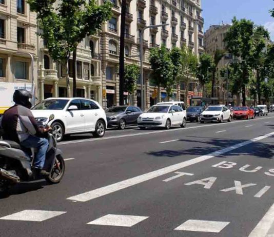 600 euros de ayuda para sustituir ciclomotores de combustión por eléctricos 600 euros de ayuda para sustituir ciclomotores de combustión por eléctricos