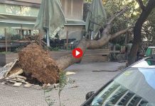 Barcelona recupera poco a poco la normalidad | Declaraciones del alcalde Barcelona recupera poco a poco la normalidad | Declaraciones del alcalde