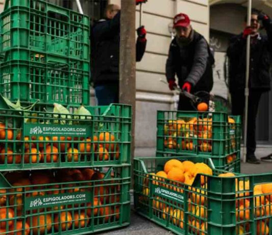 Barcelona transforma su paisaje urbano en mermelada solidaria Barcelona transforma su paisaje urbano en mermelada solidaria