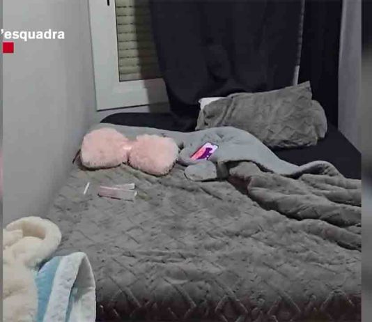 Desmantelan una red de explotación sexual de mujeres en Barcelona Desmantelan una red de explotación sexual de mujeres en Barcelona