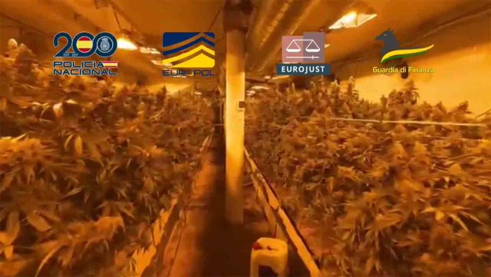 Desmantelan una red internacional de narcotráfico con base en Barcelona