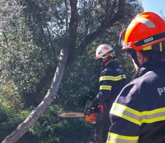 El Govern levanta la limitación de desplazamientos y mantiene restricciones por el viento El Govern levanta la limitación de desplazamientos y mantiene restricciones por el viento