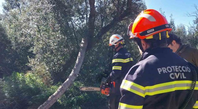 El Govern levanta la limitación de desplazamientos y mantiene restricciones por el viento El Govern levanta la limitación de desplazamientos y mantiene restricciones por el viento