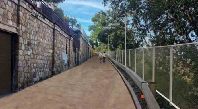 El Turó de la Font de la Guatlla afronta una transformación urbana en 2026 El Turó de la Font de la Guatlla afronta una transformación urbana en 2026