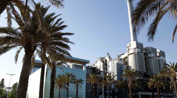 Hallan un cadáver en la planta de residuos de Sant Adrià de Besòs Hallan un cadáver en la planta de residuos de Sant Adrià de Besòs