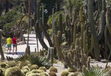Investigan una agresión sexual en los Jardines de Mossèn Costa i Llobera Investigan una agresión sexual en los Jardines de Mossèn Costa i Llobera