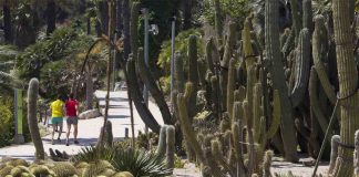 Investigan una agresión sexual en los Jardines de Mossèn Costa i Llobera Investigan una agresión sexual en los Jardines de Mossèn Costa i Llobera