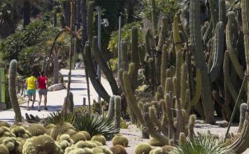 Investigan una agresión sexual en los Jardines de Mossèn Costa i Llobera Investigan una agresión sexual en los Jardines de Mossèn Costa i Llobera