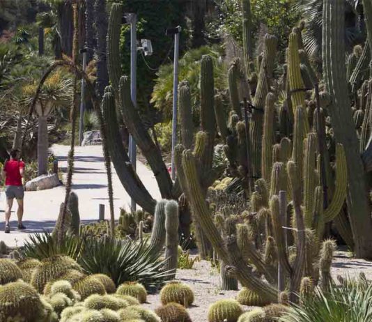 Investigan una agresión sexual en los Jardines de Mossèn Costa i Llobera Investigan una agresión sexual en los Jardines de Mossèn Costa i Llobera