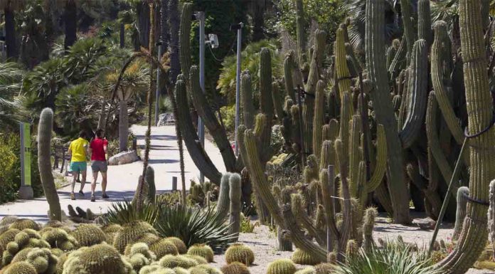 Investigan una agresión sexual en los Jardines de Mossèn Costa i Llobera Investigan una agresión sexual en los Jardines de Mossèn Costa i Llobera
