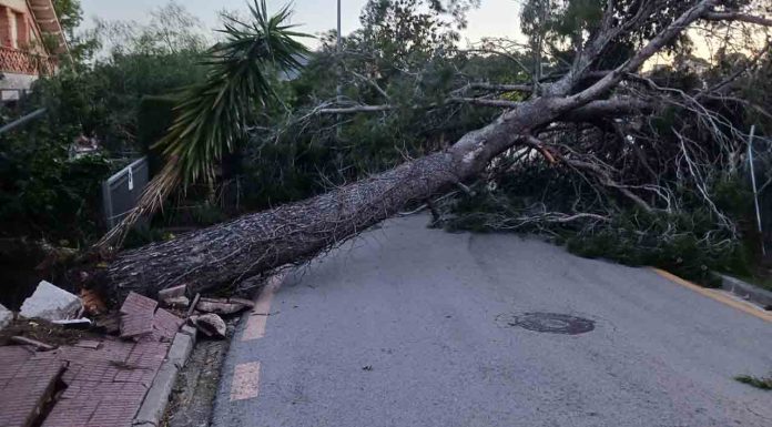 Viento fuerte en Barcelona y el noreste: el episodio alcanza su punto crítico Viento fuerte en Barcelona y el noreste: el episodio alcanza su punto crítico