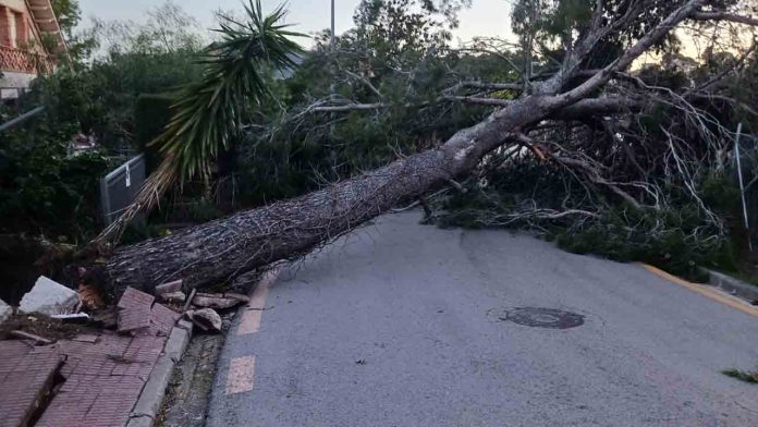 Viento fuerte en Barcelona y el noreste: el episodio alcanza su punto crítico
