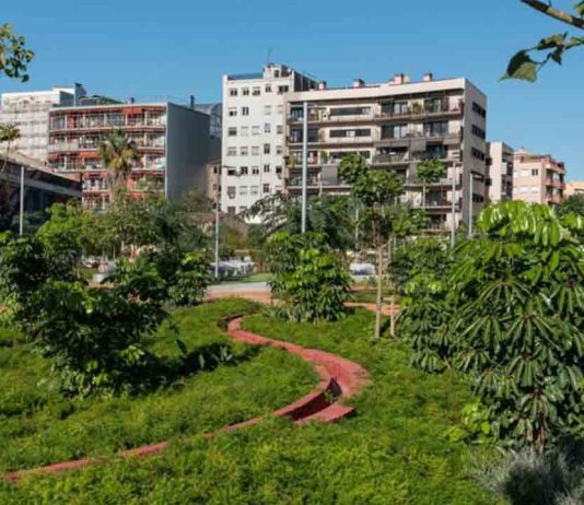 Barcelona acoge el Congreso Nacional de Parques y Jardines 2026 Barcelona acoge el Congreso Nacional de Parques y Jardines 2026