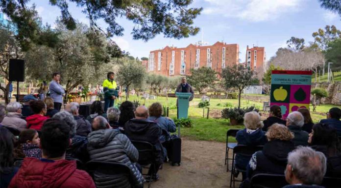 Collboni entrega las llaves de 40 parcelas del huerto urbano de Can Mestres Collboni entrega las llaves de 40 parcelas del huerto urbano de Can Mestres