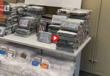 Desarticulada una red criminal internacional vinculada a la Camorra Desarticulada una red criminal internacional vinculada a la Camorra