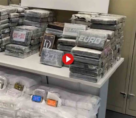 Desarticulada una red criminal internacional vinculada a la Camorra Desarticulada una red criminal internacional vinculada a la Camorra