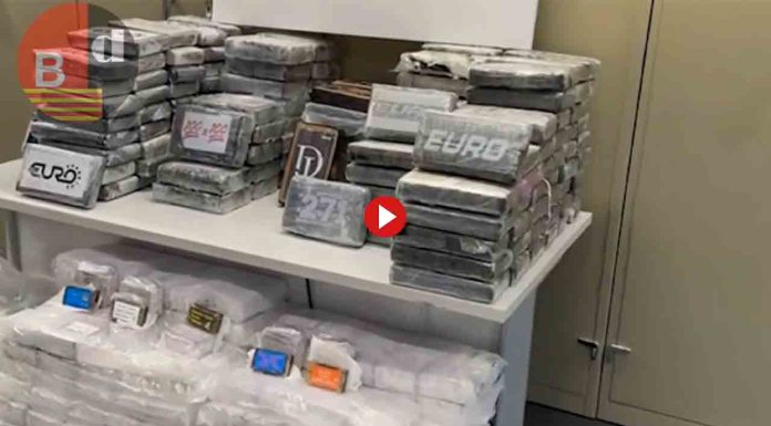 Desarticulada una red criminal internacional vinculada a la Camorra Desarticulada una red criminal internacional vinculada a la Camorra