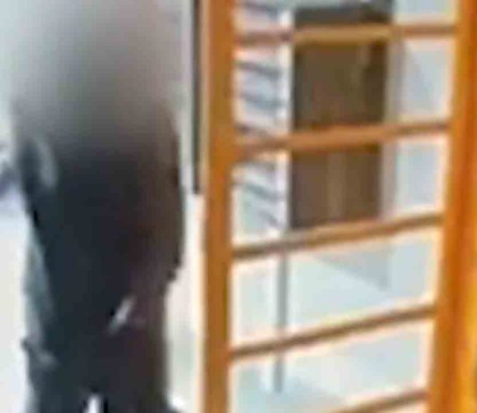 Detenido en Sarrià-Sant Gervasi por una serie de robos con fuerza en domicilios Detenido en Sarrià-Sant Gervasi por una serie de robos con fuerza en domicilios