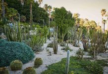 Detenido por la violación en los Jardines de Mossèn Costa i Llobera Detenido por la violación en los Jardines de Mossèn Costa i Llobera