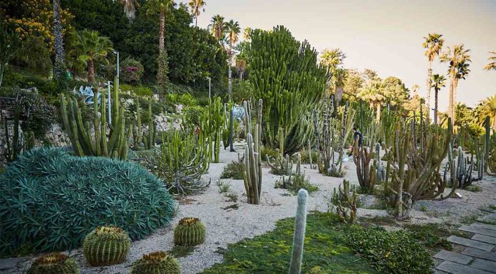 Detenido por la violación en los Jardines de Mossèn Costa i Llobera Detenido por la violación en los Jardines de Mossèn Costa i Llobera
