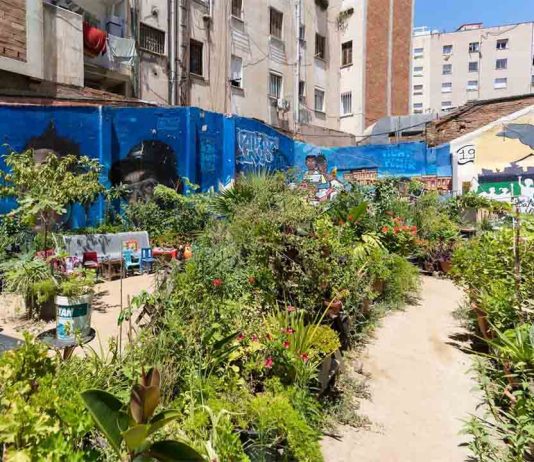 Espai Nur: un oasis verde y comunitario en el corazón del Eixample Espai Nur: un oasis verde y comunitario en el corazón del Eixample