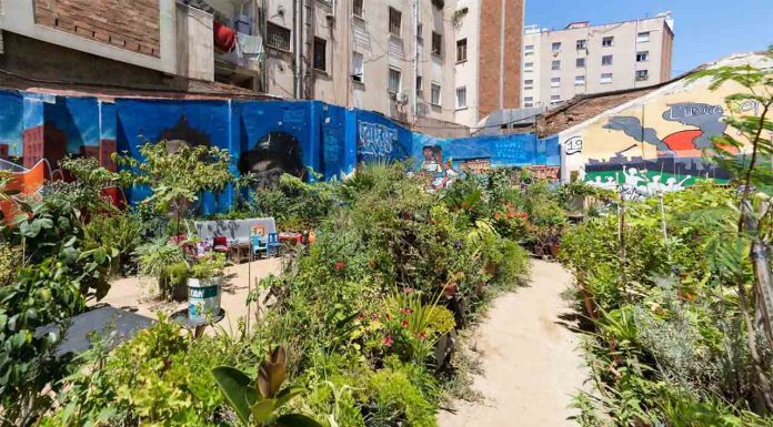 Espai Nur: un oasis verde y comunitario en el corazón del Eixample Espai Nur: un oasis verde y comunitario en el corazón del Eixample