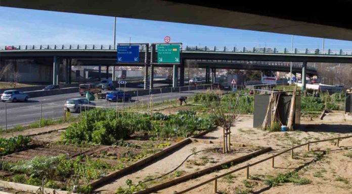 Huerto Urbano Baró de Viver: un pulmón verde y comunitario en el distrito Huerto Urbano Baró de Viver: un pulmón verde y comunitario en el distrito