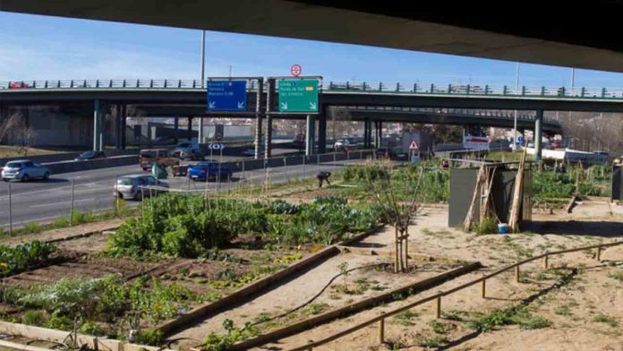 Huerto Urbano Baró de Viver: un pulmón verde y comunitario en el distrito