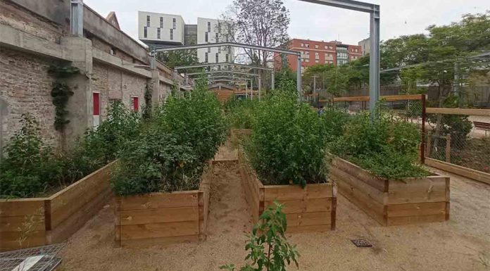 Huerto Colònia Castells: cultivo comunitario y participación vecinal en Les Corts Huerto Colònia Castells: cultivo comunitario y participación vecinal en Les Corts