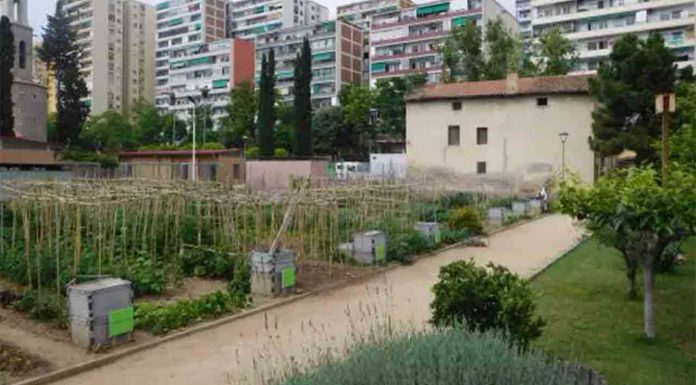 Huerto Urbano Masía Can Cadena: agricultura ecológica y educación ambiental en Sant Martí Huerto Urbano Masía Can Cadena: agricultura ecológica y educación ambiental en Sant Martí
