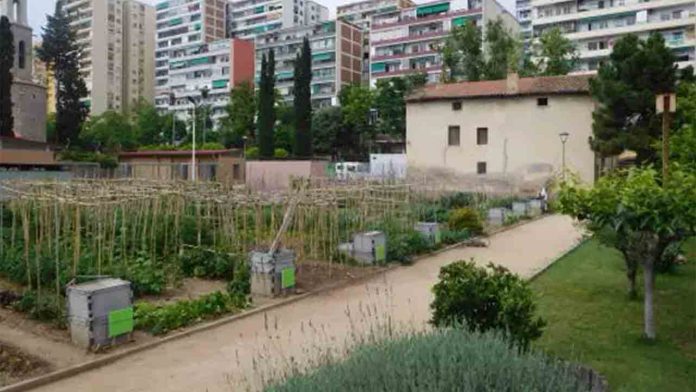 Hort Urbà Masia Can Cadena Huerto Urbano Masía Can Cadena: agricultura ecológica y educación ambiental en Sant Martí