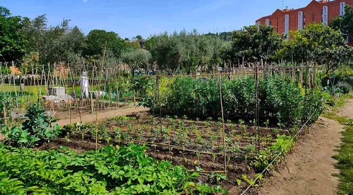 Huerto Urbano Masía Can Mestres: naturaleza, agricultura y educación ambiental en Montjuïc Huerto Urbano Masía Can Mestres: naturaleza, agricultura y educación ambiental en Montjuïc