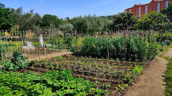 Huerto Urbano Masía Can Mestres: naturaleza, agricultura y educación ambiental en Montjuïc