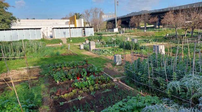 Huerto Urbano Parc de la Trinitat: un oasis verde en el norte de Barcelona Huerto Urbano Parc de la Trinitat: un oasis verde en el norte de Barcelona