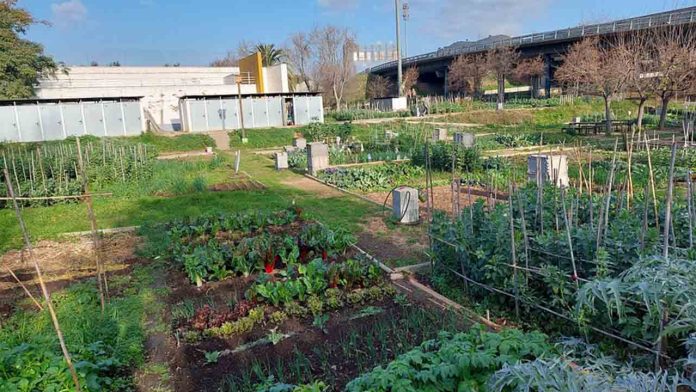 Huerto Urbano Parc de la Trinitat: un oasis verde en el norte de Barcelona
