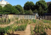 Huerto Urbano Sagrada Família: un oasis de biodiversidad en el corazón del Eixample Huerto Urbano Sagrada Família: un oasis de biodiversidad en el corazón del Eixample