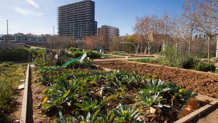 Huerto Urbano Torre Melina: biodiversidad y comunidad en Les Corts